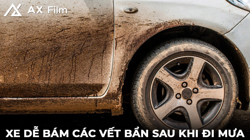 dán ppf chống bám bùn đất