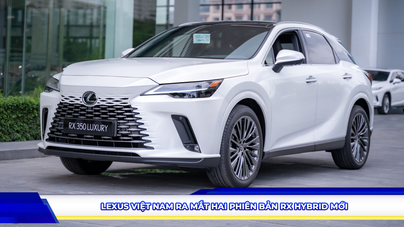 LEXUS VIỆT NAM RA MẮT HAI PHIÊN BẢN RX HYBRID MỚI – ĐỊNH HÌNH XU HƯỚNG XE SANG XANH