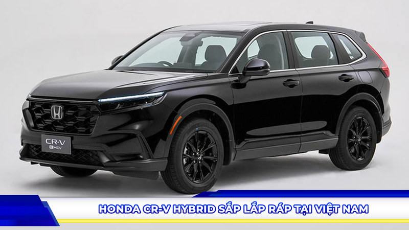 Honda CR-V Hybrid sắp lắp ráp tại Việt Nam
